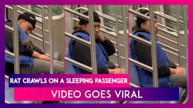 Rat Crawls On A Sleeping Passenger On New York Subway; Video Goes Viral
